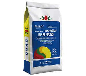 �۹Ȱ���΢�������-�۹ȵ�-��������