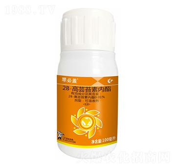 0.01%28���|̦�؃�(n��i)��-����w-����¡����