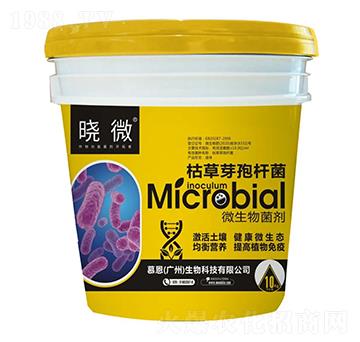 ΢�������-��΢-Ľ������