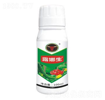 �����������-¶����-