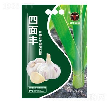 �������a(ch��n)���g��-�����S