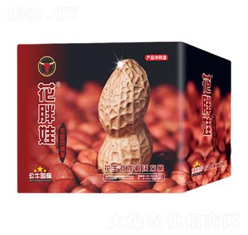 �����ı�ˎ-������-��