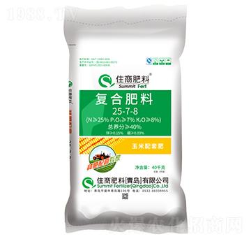 �N�����׌��ҏ�(f��)�Ϸ���2