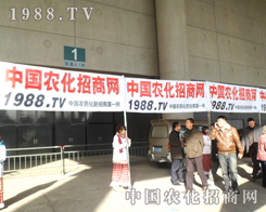 �r(n��ng)���W(w��ng)��ȫ��Ͷ����ˑB(t��i)ӭ��2012ֲ����