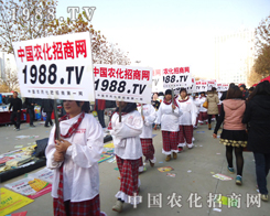 �r(n��ng)���W(w��ng)���ݺ̈́�(chu��ng)��Y(ji��)�ϵ������A�����ИI(y��)��ʿ�J��