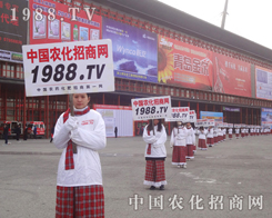 ��28��ֲ�����r(n��ng)���W(w��ng)������������ݻֺ�