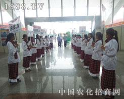 �҂��Ǖr�g�^��܏����r(n��ng)�����̾W(w��ng)�F(tu��n)�