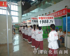 ��ƴ���M(j��n)�е��׵��r(n��ng)�����̾W(w��ng)�F(tu��n)�