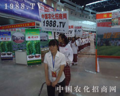 �r(n��ng)�����̾W(w��ng)�F(tu��n)�(du��)�����L(f��ng)�����ú�ˮԏ��ഺ��ɫ��