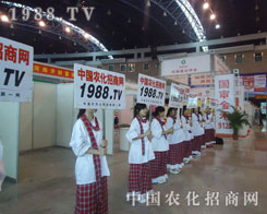 �r(n��ng)�����̾W(w��ng)�ԏ���ěQ�ĺ�����ƴ���������r(n��ng)�Y��