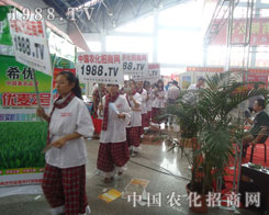 �r(n��ng)������ȫ���Ը����Ì��H�ЄӁ�ȡ��