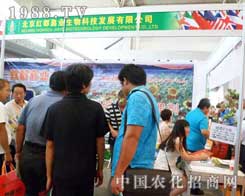 �����t���ΘI(y��)12���½��r(n��ng)����(hu��)��չλǰ���̲���