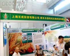 �Ϻ��ٳɻ�����(zh��n)�½�ֲ����(hu��)