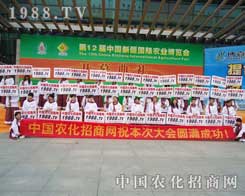 ��(ji��n)���l(f��)չ���������r(n��ng)���W(w��ng)������V韵�����