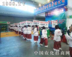 ������ɫ��С����������ĳ���