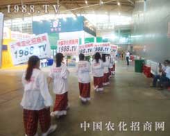 ȫ���Ը�����ƴ�ܸɵ��r(n��ng)�����̾W(w��ng)��(zh��n)ʿ