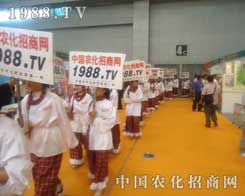 �r(n��ng)�����̾W(w��ng)���������ݵ��������L