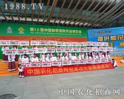 �K�����L����������b�ٴ��������ܶ��˵�����