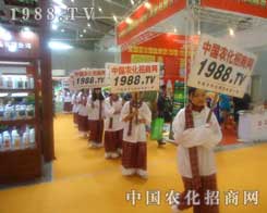 �½��r����1988.TV��ʿ���o���N��������