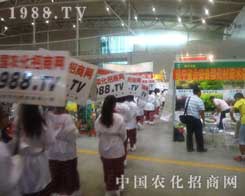 �½��r�����ψ���ʮ����Ǣ��