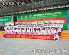 �þ��ʵ�չʾ���@��1988.TV���ۺ���