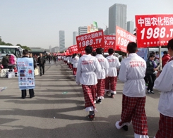 �r(n��ng)������2013ֲ�����ϟ���Ƿ�