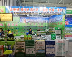 �Ϻ��ʢ���ĵȴ�2013��ֲ����