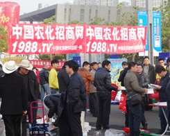 2013ֲ���������r(n��ng)������Ч����