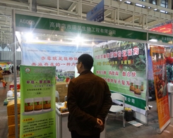 ���������ٴ������29��ֲ����(hu��)