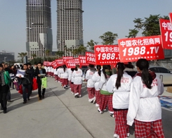 2013ֲ��չ�r(n��ng)�����̾W(w��ng)�ĈF(tu��n)�(du��)