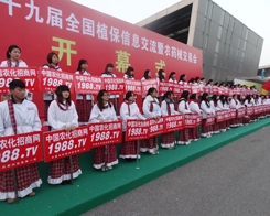 ʮһ�µ�ֲ���p����(hu��)