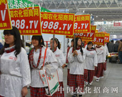 С������M�@�tɫ������ɫ