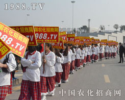 �r(n��ng)���W(w��ng)��ֲ�����������A�M�ɹ�