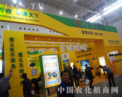 �x�S��2014ֲ�����ς�����A