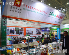 �^���ڵĽ����S