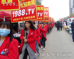 2015�Ϸ�ֲ����(hu��)���r(n��ng)���W(w��ng)�gӭ���ĵ���(l��i)