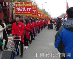 2015��ֲ�����F���r����(zh��n)ʿ��������