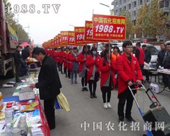 �r�����̾W��2015�Ϸ�ֲ�������W���ǈ�