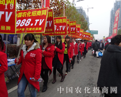 2015��ֲ���������������̃ɲ��`