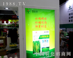 �������2015ֲ�����ϱM��չ�F(xi��n)�������L(f��ng)��