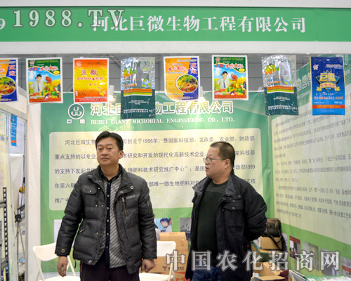 �ӱ���΢�ںϷ�ֲ����(hu��)���L(f��ng)�L(f��ng)���