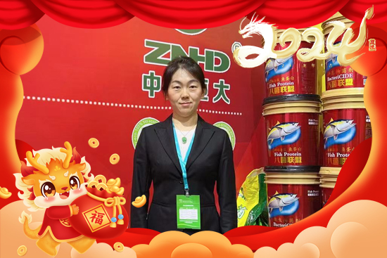 �����r(n��ng)���ףȫ��(gu��)�Ľ�(j��ng)�N(xi��o)��2024��ؔ(c��i)Դ�V�M(j��n)�������d����