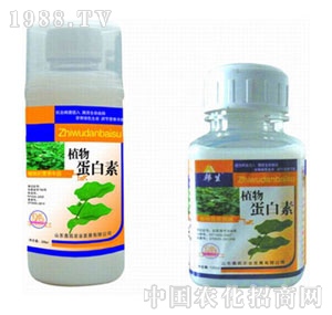 �W�P-ֲ�ﵰ����