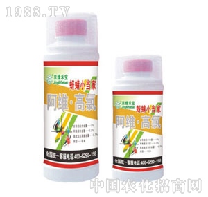 ���G�̌�-����С����