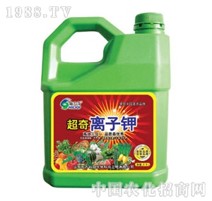 ��ԣ����-�����x���