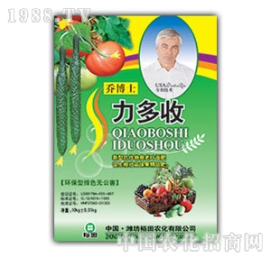 ��ԣ����-������