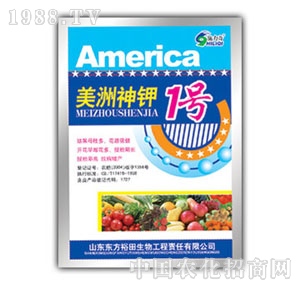 ��ԣ����-�������1̖(h��o)