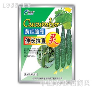 ��ԣ����-�S�����L(zh��ng)��ֱ�`