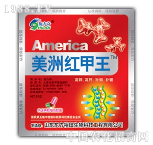 ��ԣ����-���޼t����