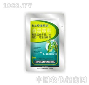 ����-��˼�_